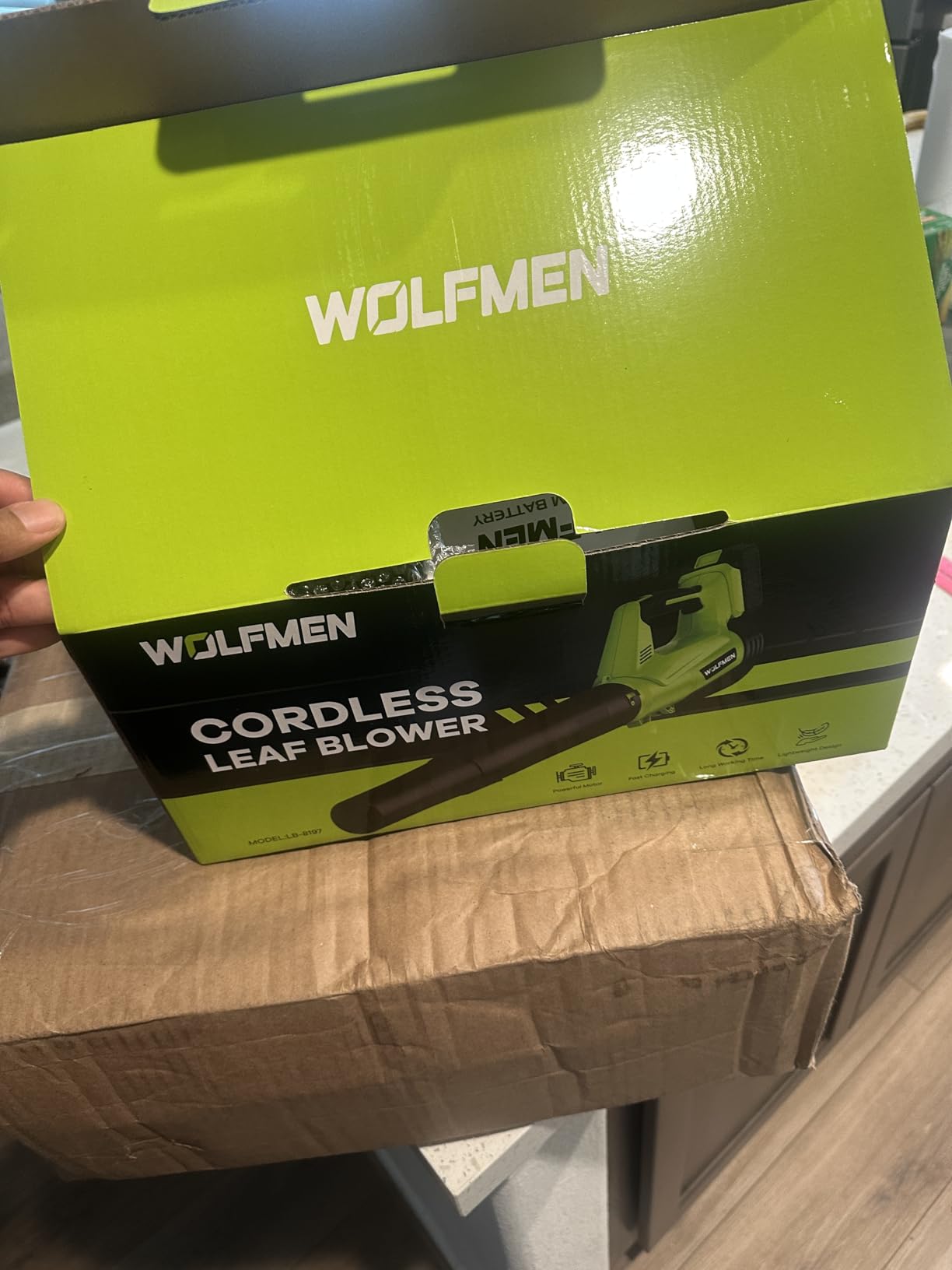 WOLFMEN Cordless Blower customer photo 1