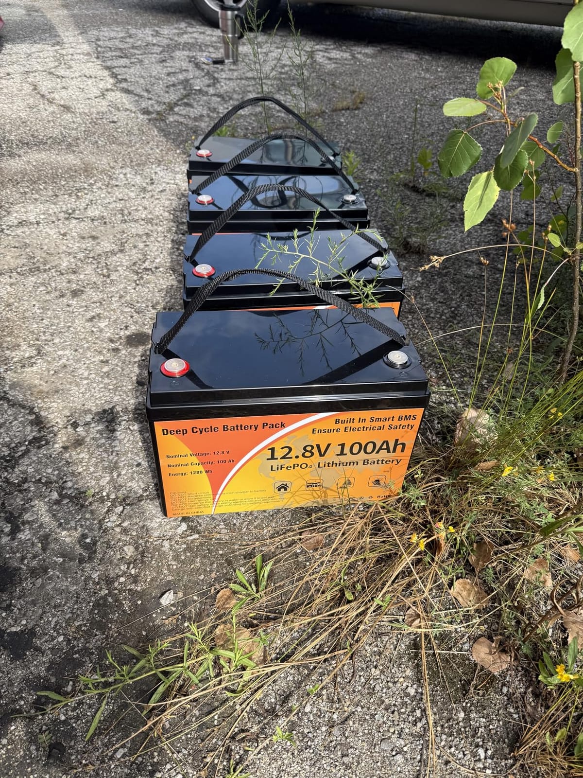 12V 100Ah LiFePO4 Battery Deep Cycle Lithium Iron Phosphate for RV, Marine customer photo 1