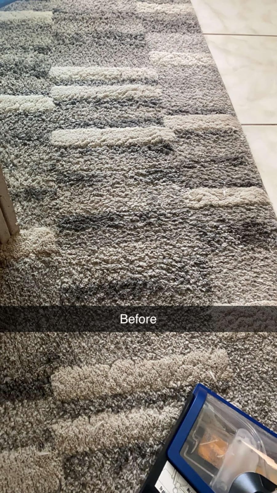 Shark CarpetXpert HairPro Carpet & Built-in Stain Cleaner, 2 Tools EX251BRN customer photo 1