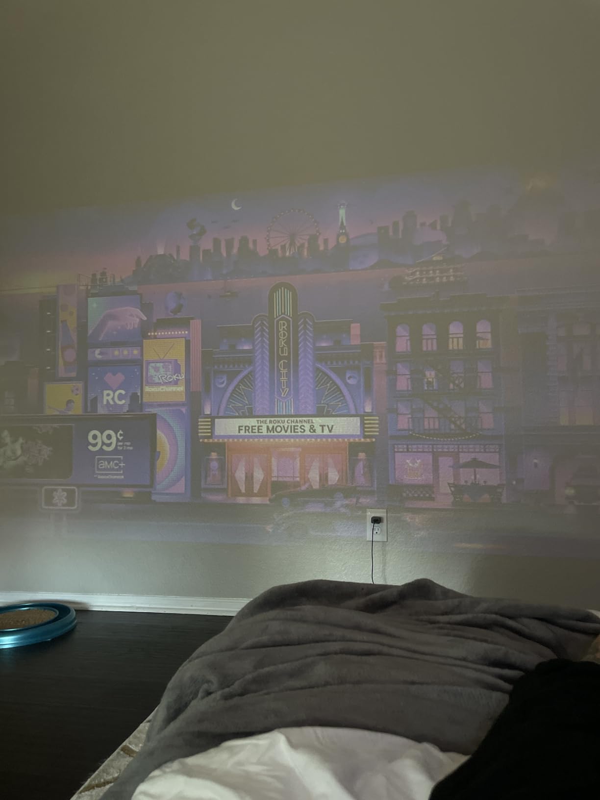 Roku Streaming Stick HD customer photo 1
