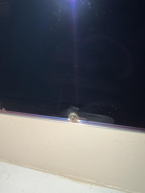 LG 55-inch OLED G5 customer photo 2