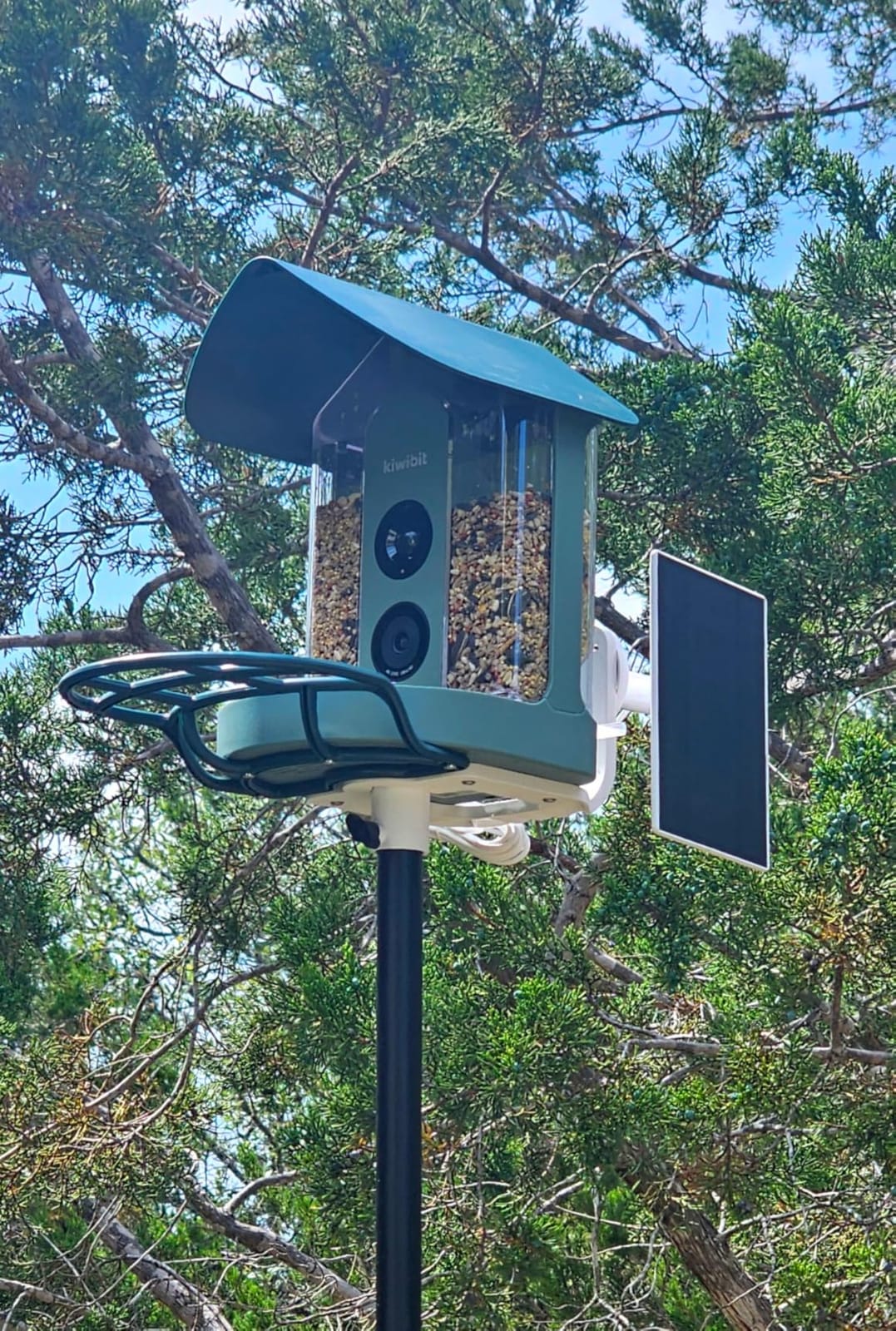 Kiwibit Bird Feeder with Camera 4K, Solar Powered, 8MP Photos, Smart AI ID customer photo 2