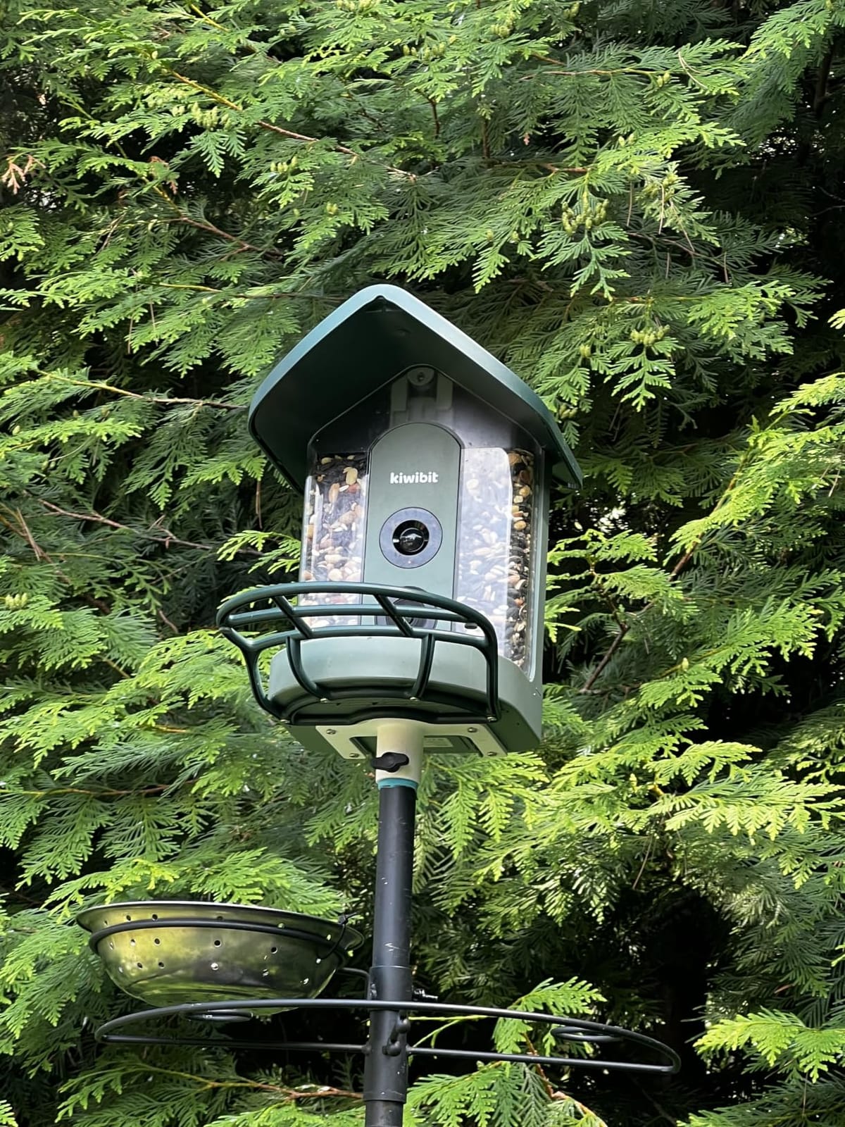Kiwibit Solar Smart Bird Feeder with Camera, 4K HDR Live Video, AI Bird ID customer photo 2