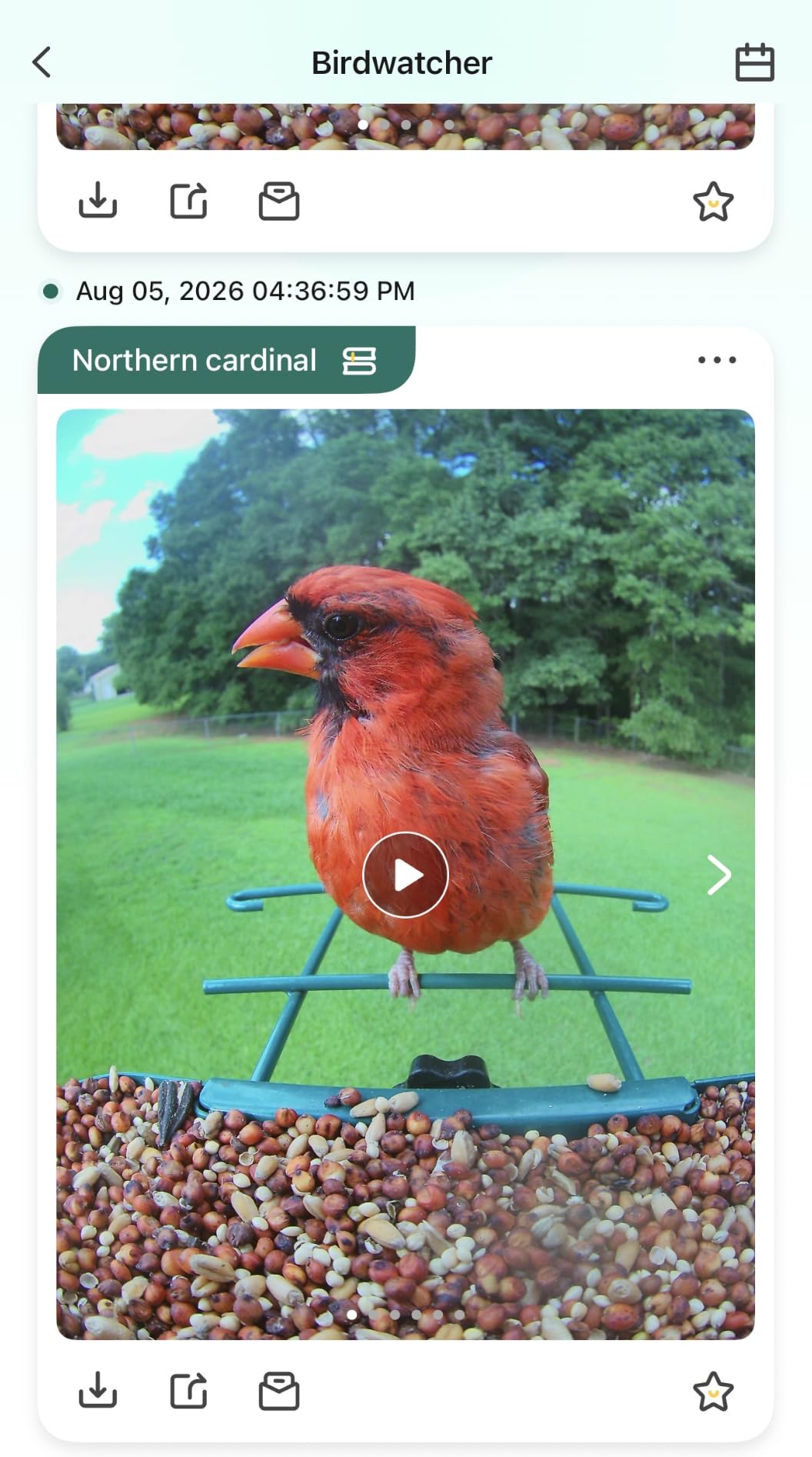 4K Smart Bird Feeder with Camera,No Subscription,Solar Powered customer photo 2