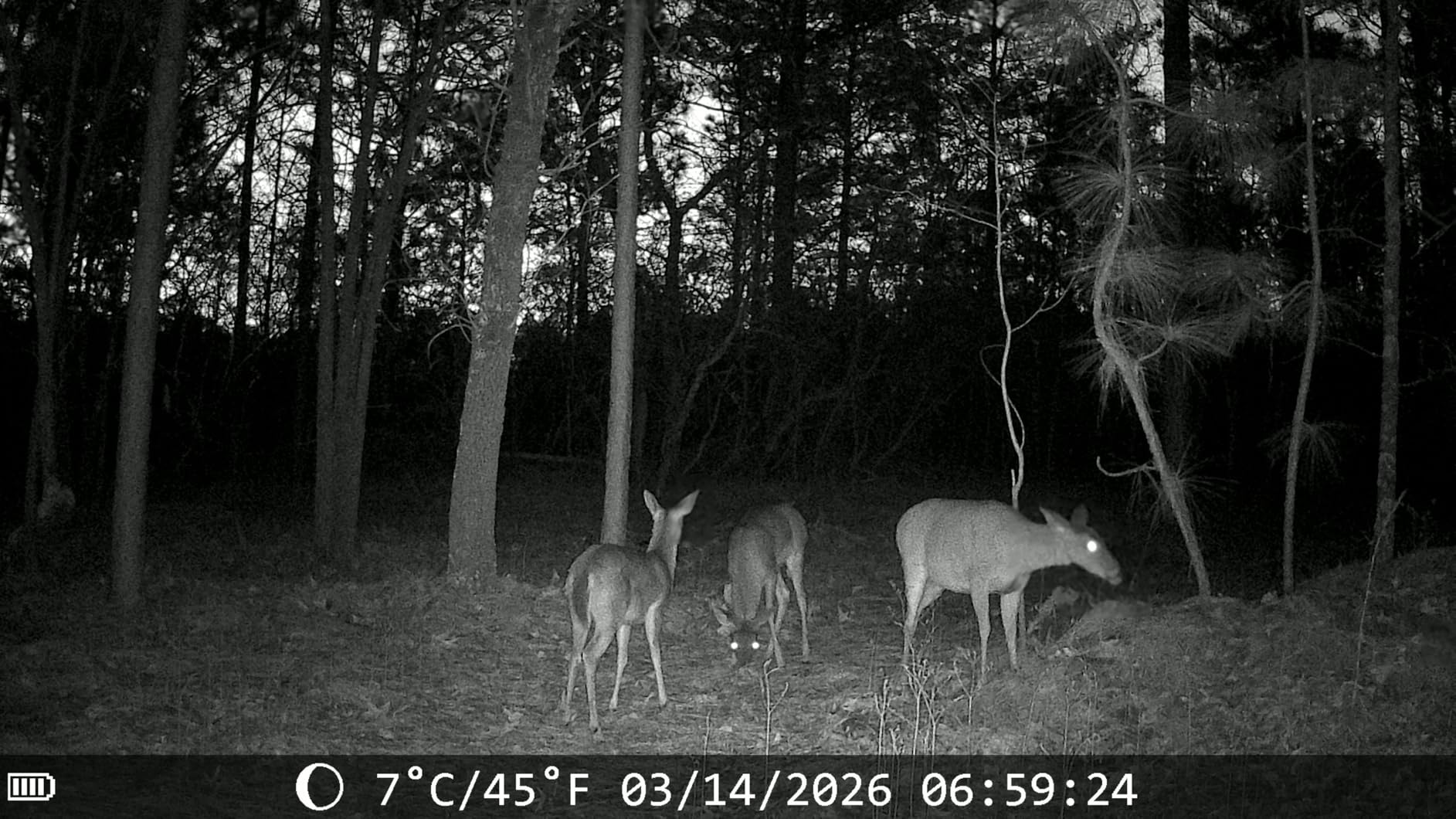 MAXDONE 2Pack Solar Trail Camera, 4K WiFi Bluetooth Night Vision GameCamera customer photo 2
