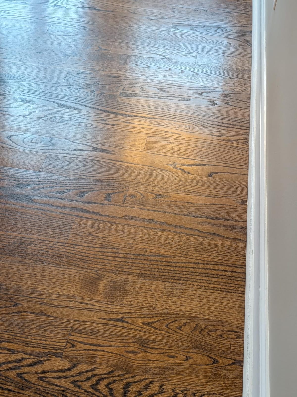 roborock Qrevo Curv 2 Flow 2026 New Robot Vacuum and Mop, 20,000 Pa, SpiraFlow Real-Time Self-Cleaning Roller Mop, Dual Zero-Tangle, AI Obstacle Avoidance, Heat-Washes & Dries Mop, Carpet Protection customer photo 2