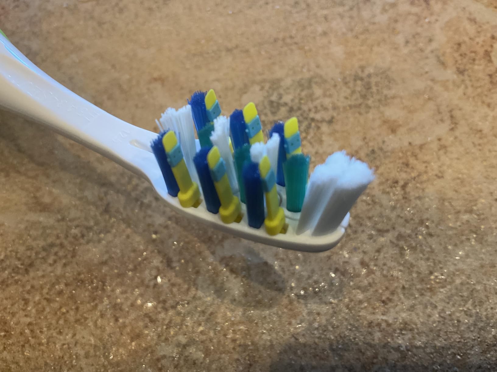 Oral-B Pulsar 4-Count customer photo 1