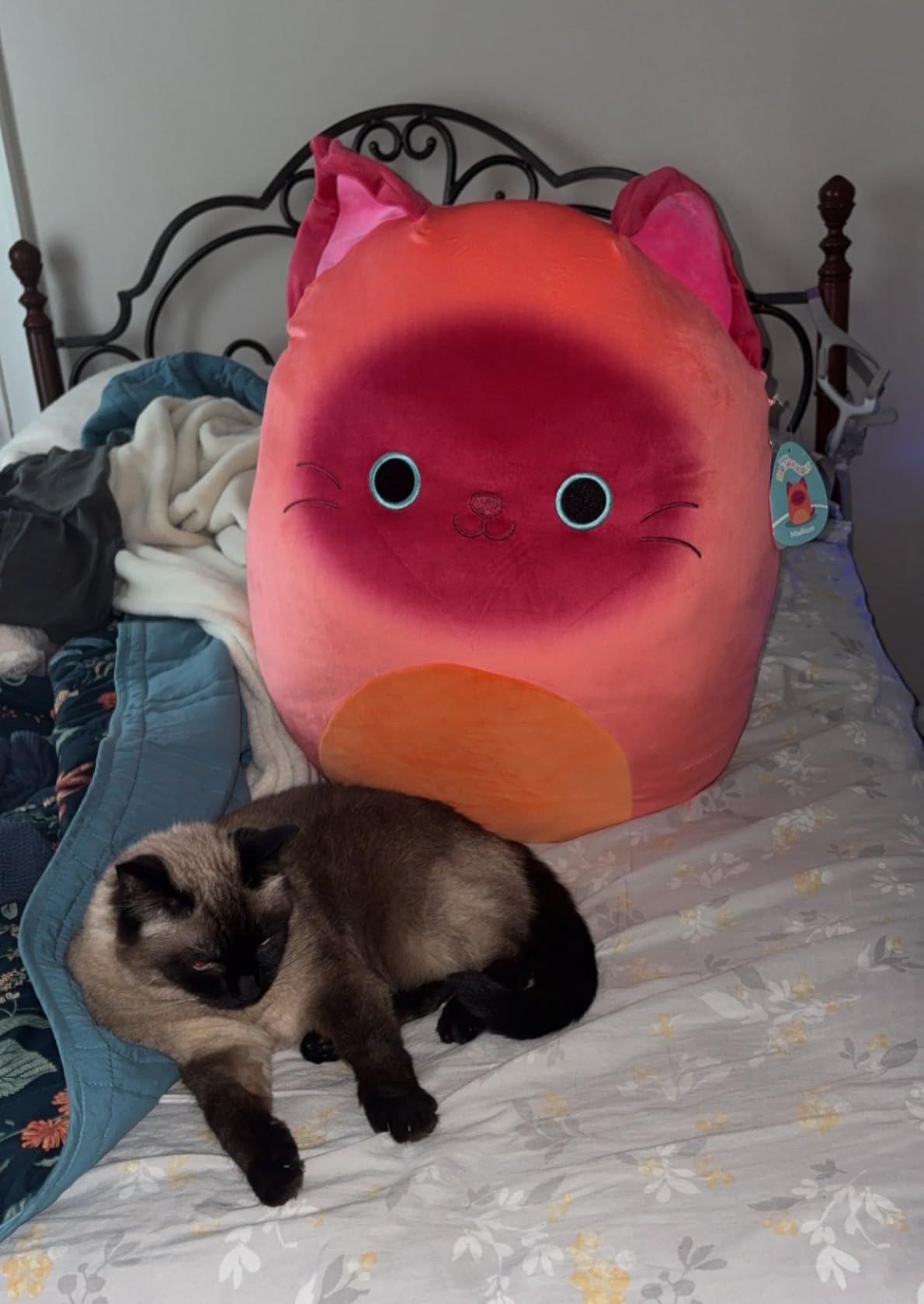 Madisun Siamese Cat 20-Inch customer photo 2