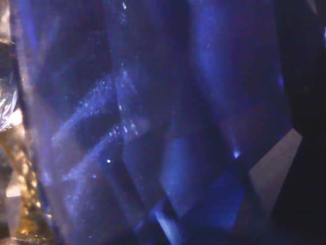 TOMLOV Compound Microscope with Coarse & Fine Focus for Students, 40X-2000X customer photo 2