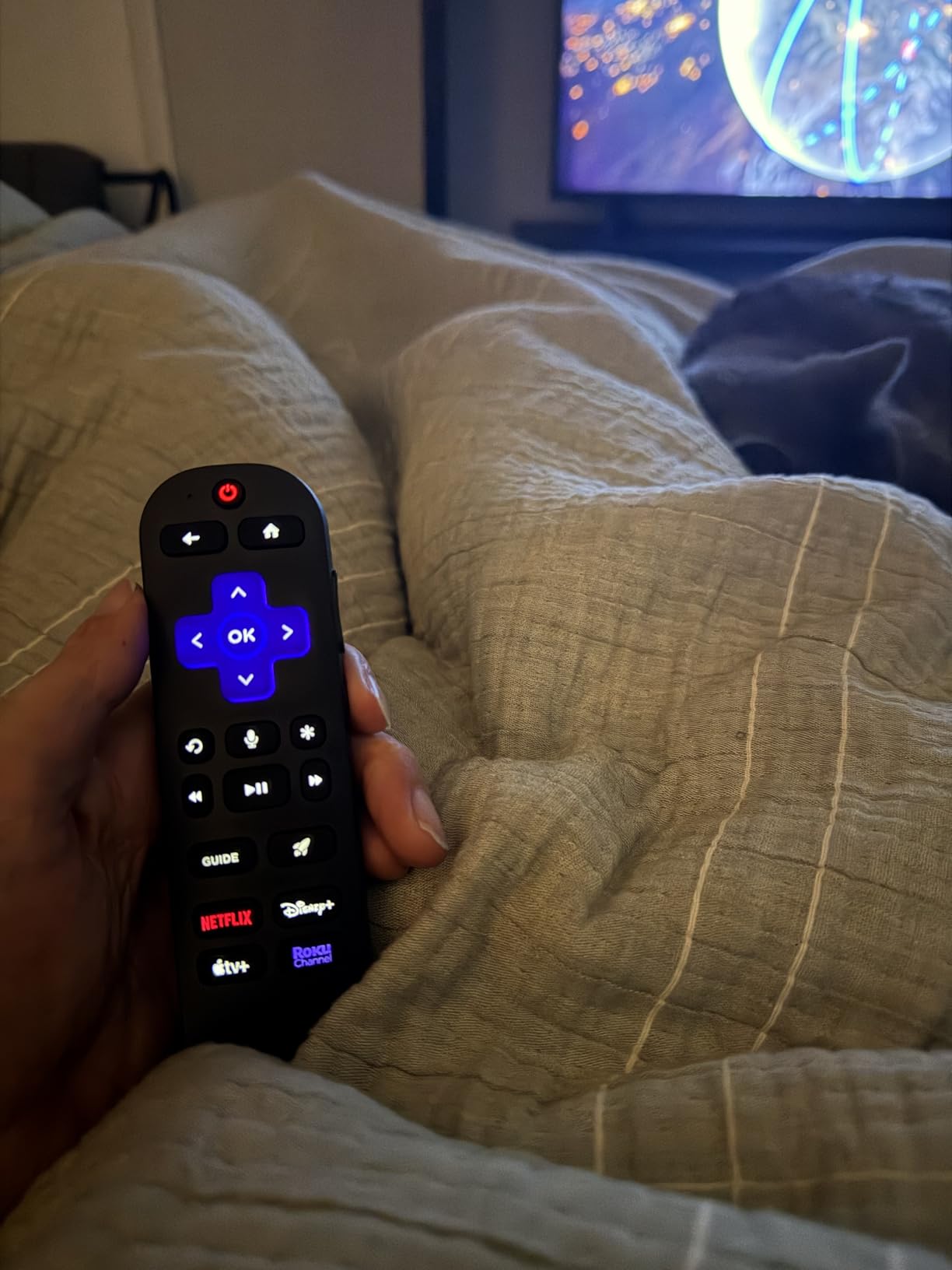 Roku Voice Remote Pro customer photo 2