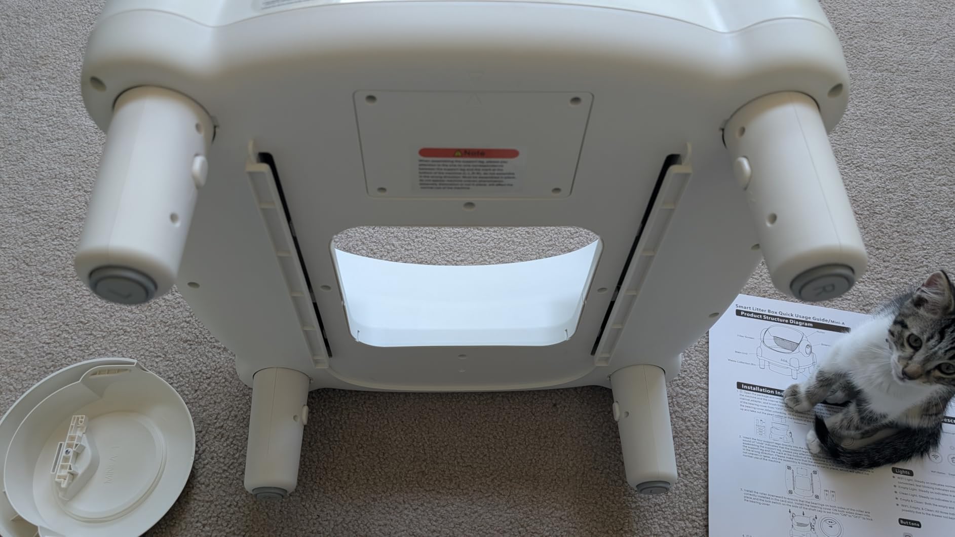 Paruuntys Automatic Litter Box,Safety Sensor,App Control,Open-top Design customer photo 1